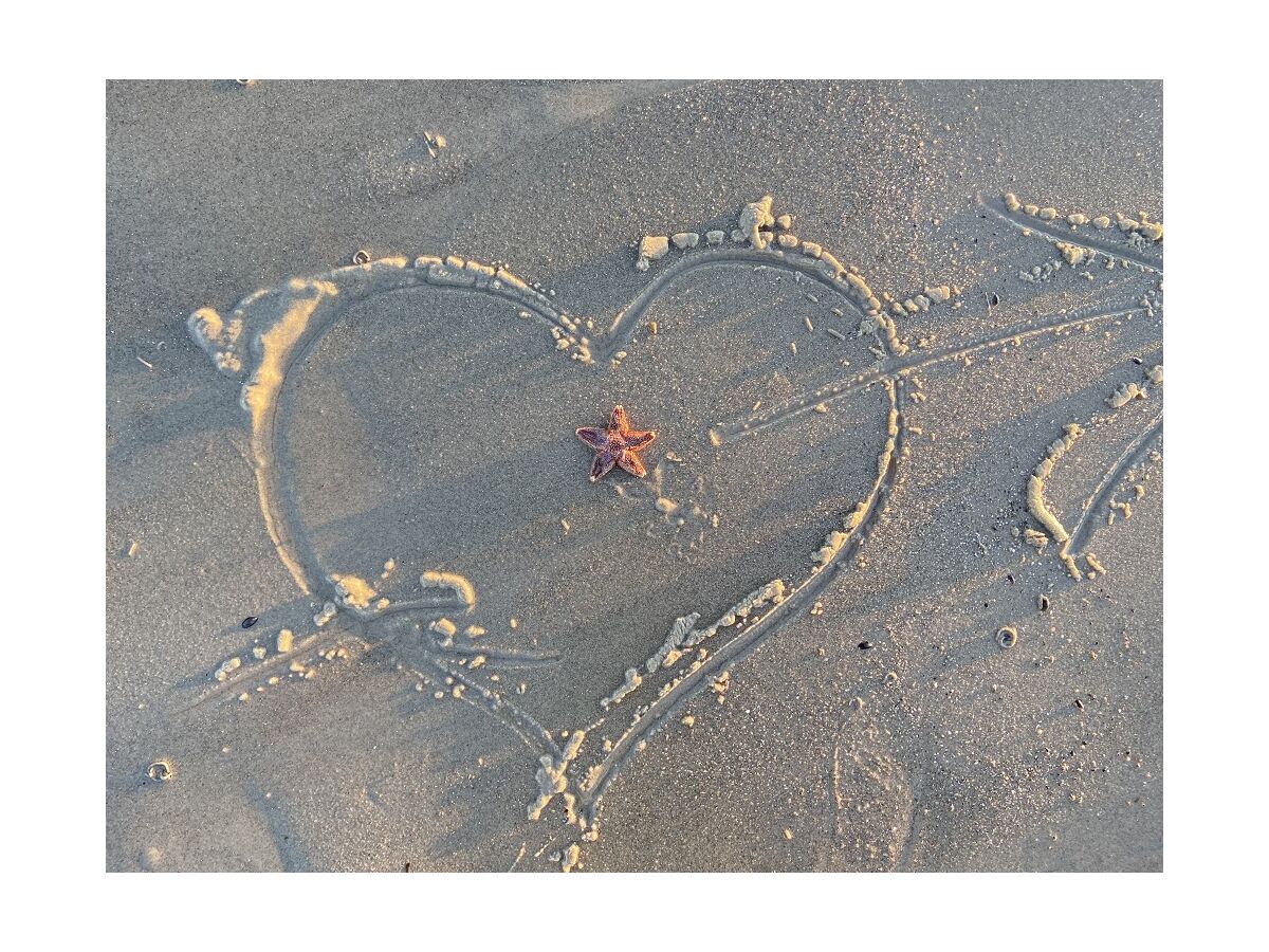 Holiday apartment Salzhaff - Outdoor photo 5