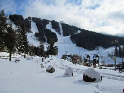 Apartment 1 Zimmer 4 Personen - Environment photo 23