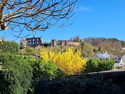 Holiday apartment Eifel Vulkaneifel Ulmen - Outdoor photo 6