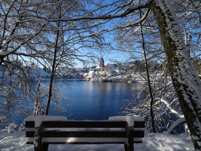 Holiday apartment Eifel Vulkaneifel Ulmen - Environment photo 27