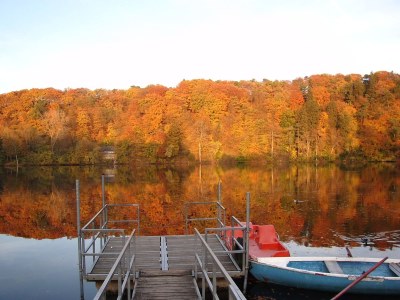 Holiday apartment Eifel Vulkaneifel Ulmen - Environment photo 28