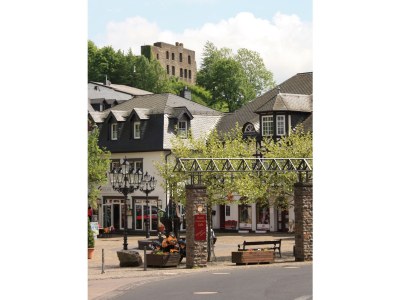 Holiday apartment Eifel Vulkaneifel Ulmen - Environment photo 30