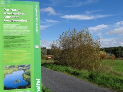 Holiday apartment Eifel Vulkaneifel Ulmen - Environment photo 35