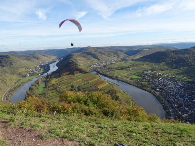 Holiday apartment Eifel Vulkaneifel Ulmen - Environment photo 38