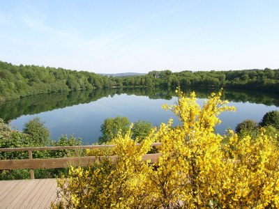 Holiday apartment Eifel Vulkaneifel Ulmen - Environment photo 39