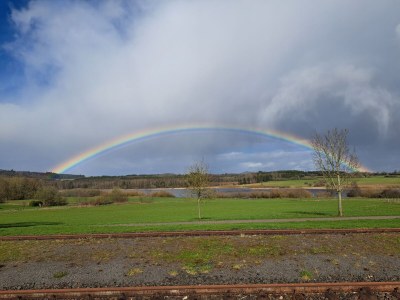 Holiday apartment Eifel Vulkaneifel Ulmen - Document photo 42