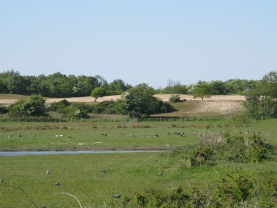 Holiday apartment Villa Duno - Environment photo 20