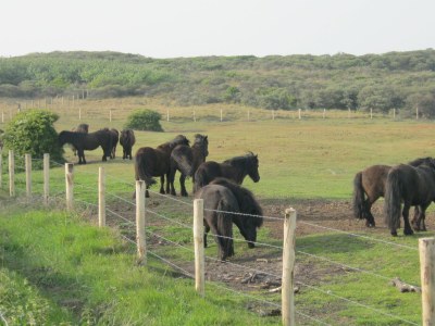 Holiday apartment Villa Duno - Environment photo 21