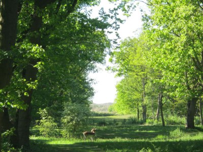 Holiday apartment Villa Duno - Environment photo 22