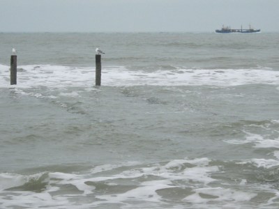 Holiday apartment Villa Duno - Environment photo 24