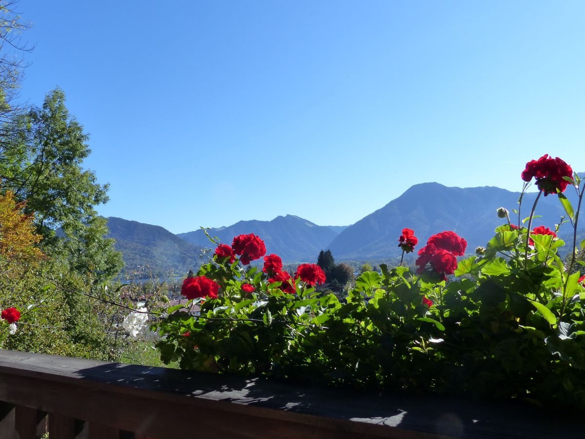 Holiday apartment Höß 3 - Outdoor photo 5