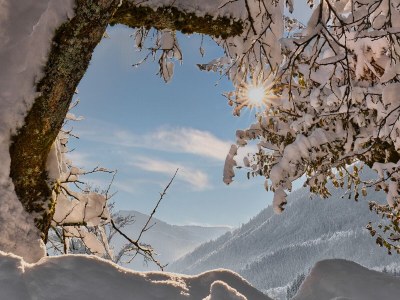 Holiday apartment Höß 3 - Outdoor photo 8