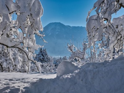 Holiday apartment Höß 3 - Outdoor photo 9