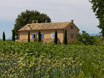 Holiday apartment Casa-Lavanda - Outdoor photo 6