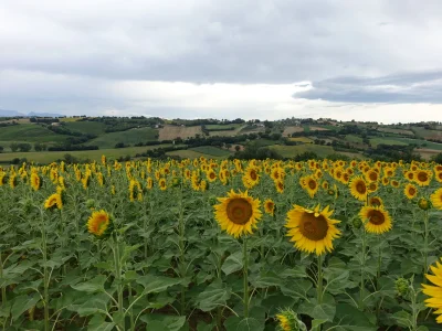 Holiday apartment Casa-Lavanda - Outdoor photo 7