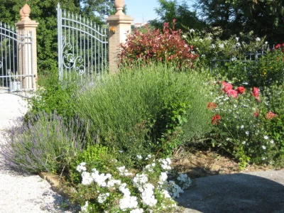 Holiday apartment Casa-Lavanda - Outdoor photo 9