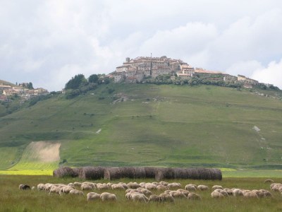 Holiday apartment Casa-Lavanda - Environment photo 16