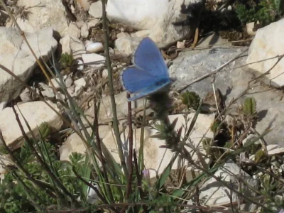 Holiday apartment Casa-Lavanda - Environment photo 17