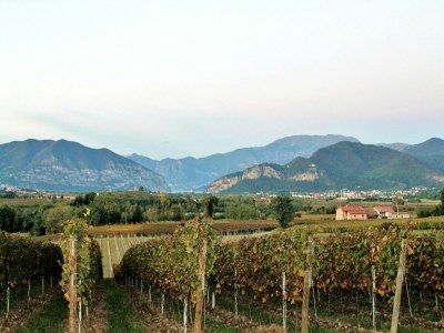 Apartment Apartment in Iseo with Pool - Environment photo 29