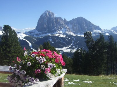 Holiday apartment Apartments Latemar - Environment photo 31