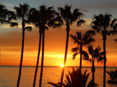 Bungalow Solyventura® Luxury Bungalow II - Outdoor photo 8