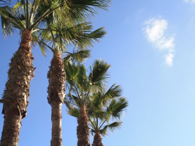 Bungalow Solyventura 2-bedroom dream bungalow - Environment photo 18