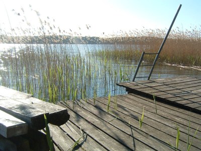 Holiday house Schwedenhaus Rote Seerose - Environment photo 13