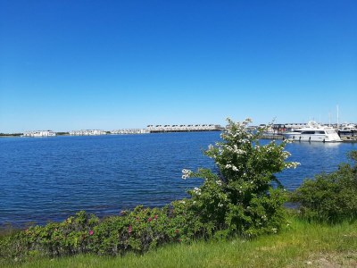 Holiday house Ferienhaus Kuschelhaus Olpenitz - Outdoor photo 17
