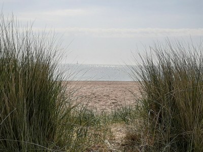 Holiday house Ferienhaus Kuschelhaus Olpenitz - Outdoor photo 19
