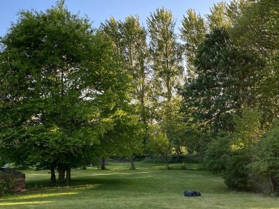 Holiday apartment Ferienwohnung Sommerby Sky Brodersby - Features photo 7