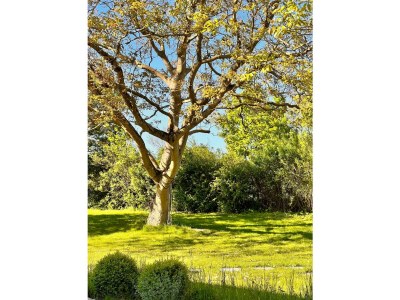 Holiday apartment Ferienwohnung Sommerby Sky Brodersby - Features photo 22