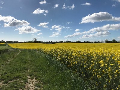 Holiday apartment Ferienwohnung Sommerby Sky Brodersby - Environment photo 24