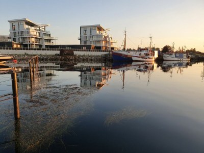 Holiday apartment Ferienwohnung Austernfischer Marina Wendtorf - Outdoor photo 3
