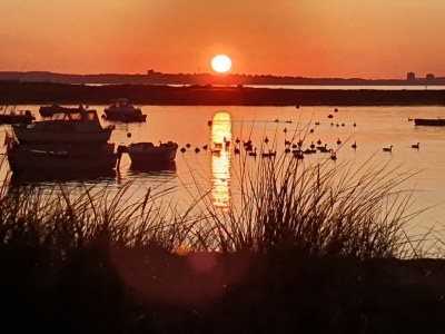 Holiday apartment Ferienwohnung Austernfischer Marina Wendtorf - Outdoor photo 13