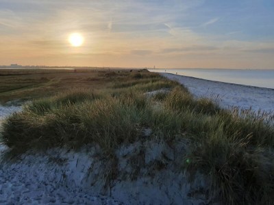 Holiday apartment Ferienwohnung Austernfischer Marina Wendtorf - Outdoor photo 14