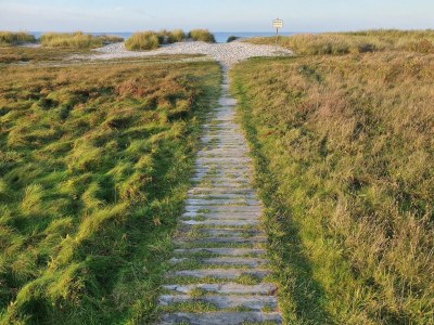 Holiday apartment Ferienwohnung Austernfischer Marina Wendtorf - Outdoor photo 16