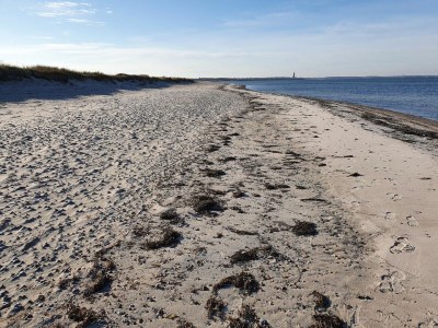 Holiday apartment Ferienwohnung Austernfischer Marina Wendtorf - Outdoor photo 17