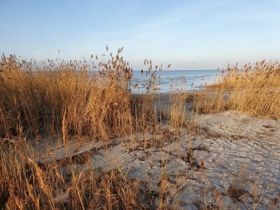 Holiday apartment Ferienwohnung Austernfischer Marina Wendtorf - Outdoor photo 18