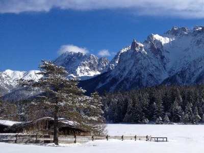 Holiday apartment Haus Höhenheim - Environment photo 9