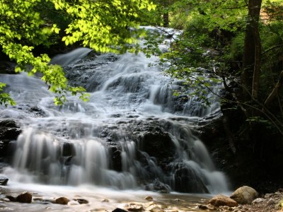 Holiday apartment Haus Höhenheim - Environment photo 10