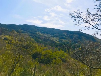 Farmhouse Bauernhof in der Toskana mit Pool & Talblick - Environment photo 29
