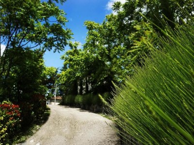 Farmhouse Bauernhof in der Toskana mit Pool & Talblick - Environment photo 36