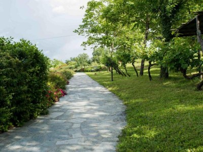 Farmhouse Bauernhof in der Toskana mit Pool & Talblick - Environment photo 39