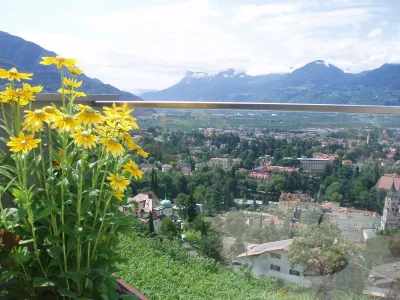 Holiday apartment Country House Apartment - Weingut Linter - Outdoor photo 8