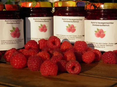 Holiday apartment Country House Apartment - Weingut Linter - Features photo 17