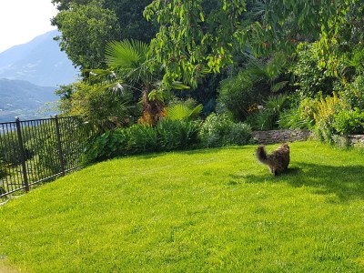 Holiday apartment Country House Apartment - Weingut Linter - Features photo 22