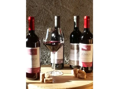 Holiday apartment Country House Apartment - Weingut Linter - Features photo 25