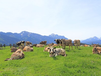 Farmhouse Linder 2 - Outdoor photo 12