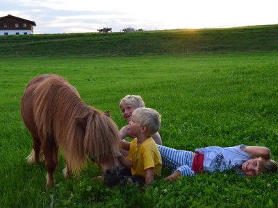 Farmhouse Linder 2 - Environment photo 21