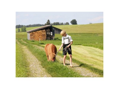 Farmhouse Linder 2 - Environment photo 25